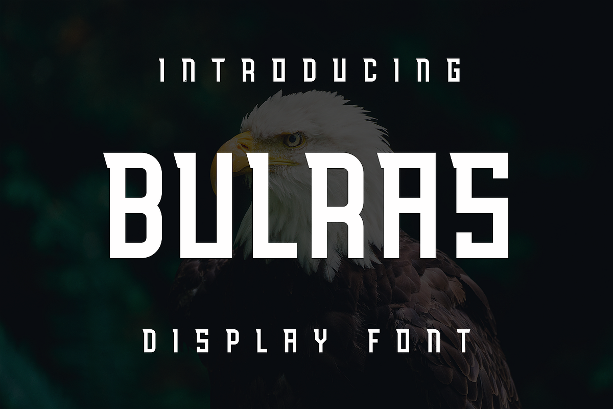 Bulras, a Sans Serif Font by lelevien (Photo 1 of 3)