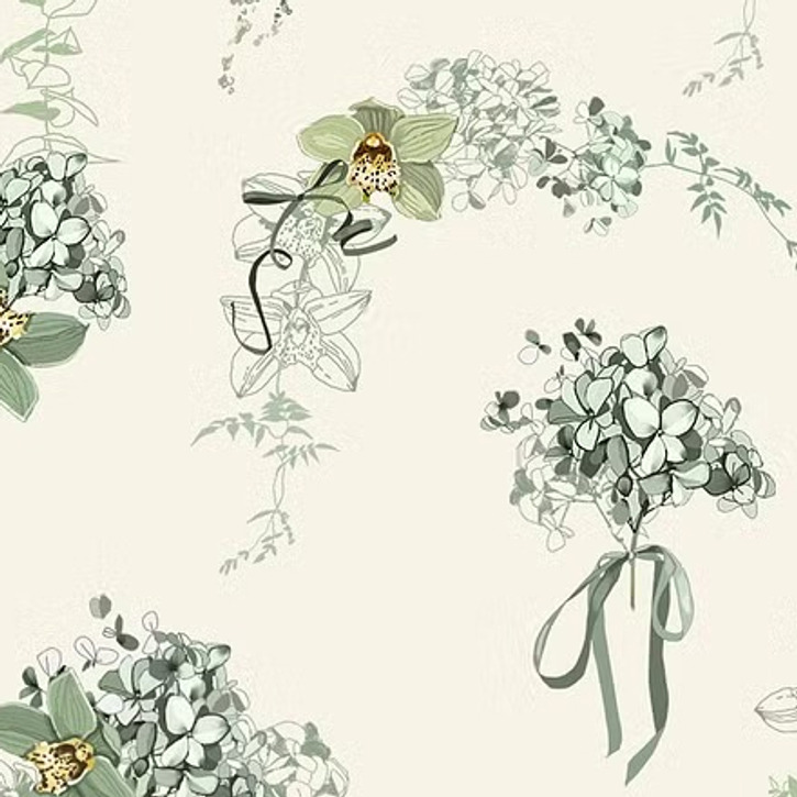 Floral & Botanical Illustrations