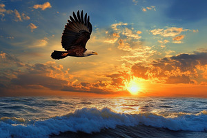 Eagle gracefully soaring over the oc, a Photo by Iftikhar Alam