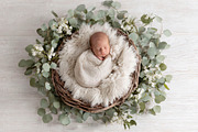 Newborn Nest Digital Backdrop, a Layer Style Add-On by Wild Honey Design Co. (Thumbnail 1 of 2)