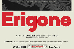 Erigone - Sans Serif Font Family