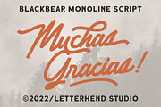 Blackbear - Monoline Script, a Script Font by Letterhend Studio (Thumbnail 8 of 8)