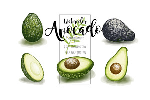 Avocado Watercolor set