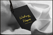 Nicolla Sunfield | Monoline Script, a Script Font by gracetype_studio (Thumbnail 8 of 12)