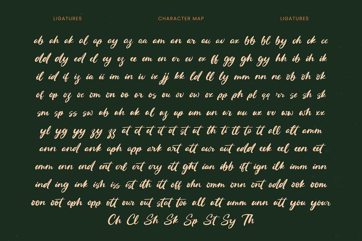 Routine Oldnight Modern Brush Font, a Script Font by Letterena Studios Script (Photo 19 of 20)