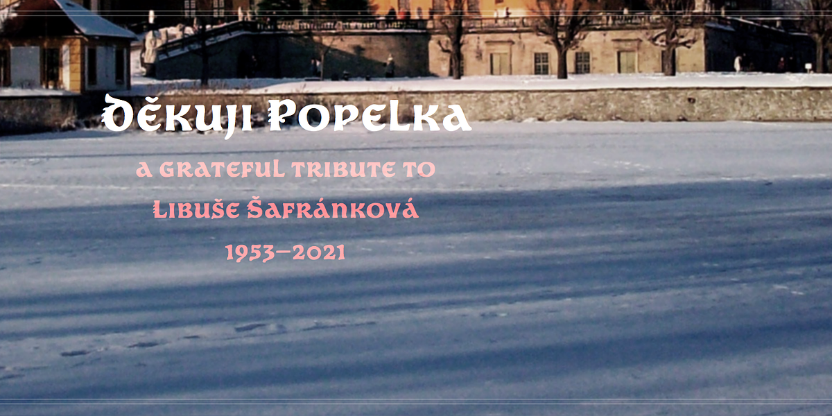 Popelka, a Serif Font by Andreas Stötzner (Photo 2 of 11)