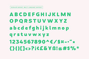 Back Groove, a Serif Font by Gatype (Thumbnail 11 of 12)