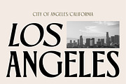 TNSC Gemino - Sans & Serif Typeface, a Serif Font by The Native Saint Club (Thumbnail 7 of 14)