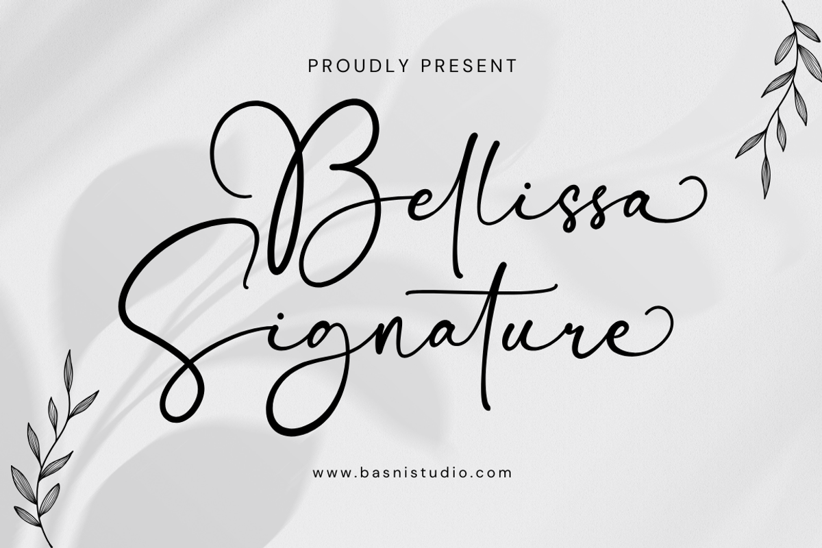 Bellissa Modern Signature Font, a Script Font by Basnistudio (Photo 1 of 10)