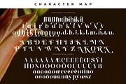 Florilst Realik Modern Serif Font, a Serif Font by Storytype Studio (Thumbnail 14 of 15)