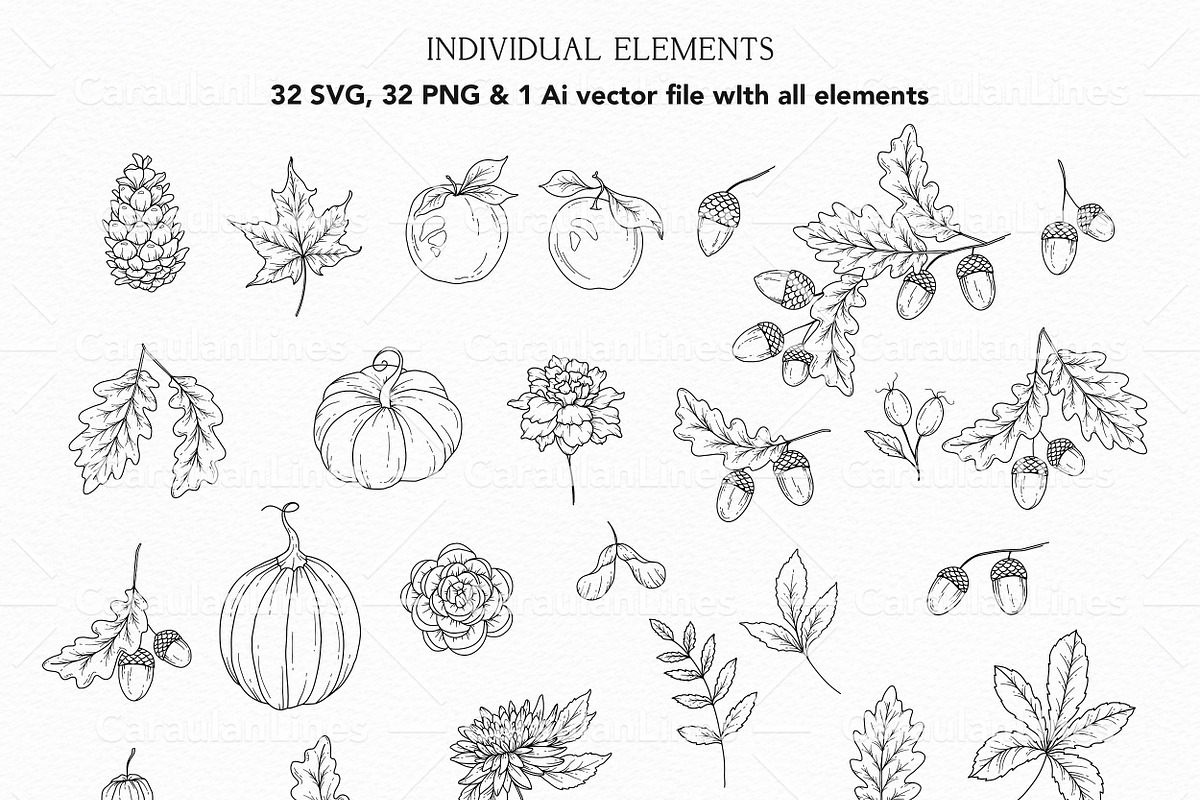 Fall Foliage Line Art, an Object Graphic by CaraulanStore (Photo 2 of 8)