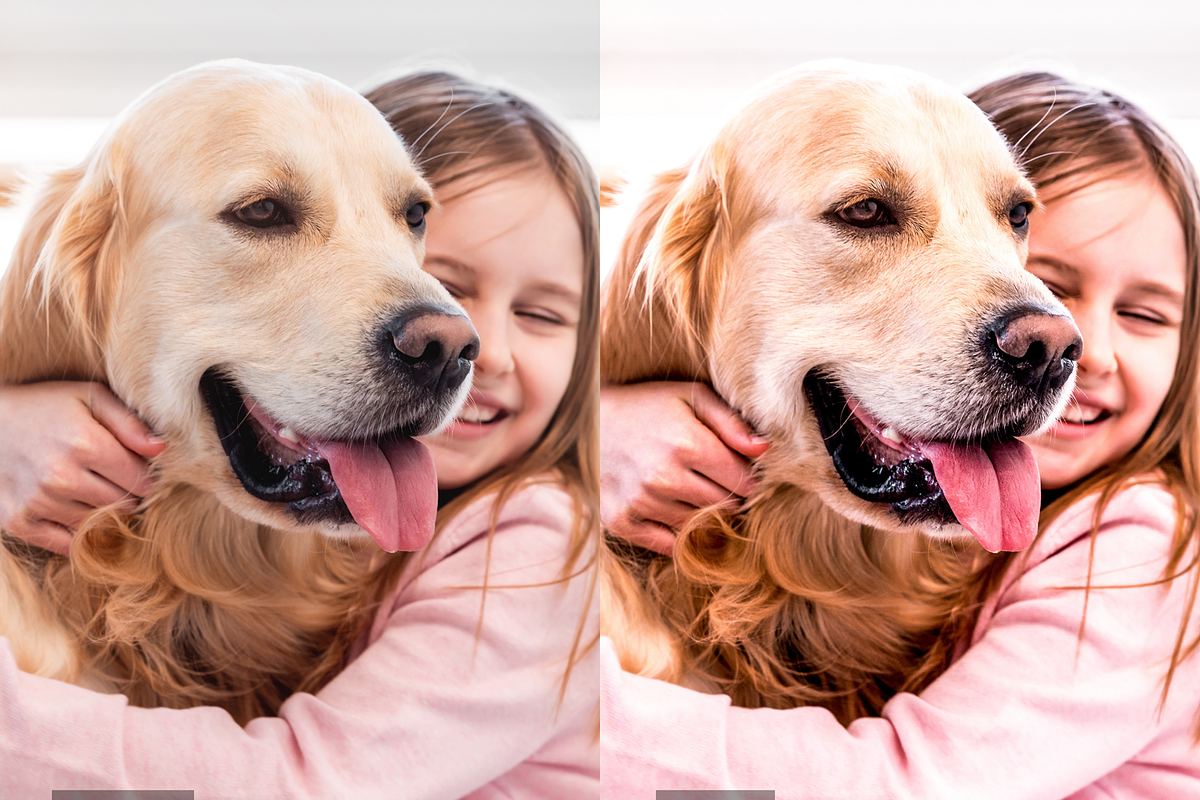 10 Pets Lightroom Presets for Mobile, a Preset Add-On by RamsaGraphi (Photo 9 of 10)