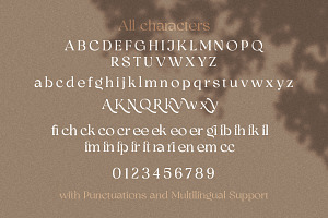 Bhinerka - Stylish Serif Font