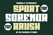 Sport Sobenor Brush, a Handwritten Font by QR Design Studio (Thumbnail 1 of 8)
