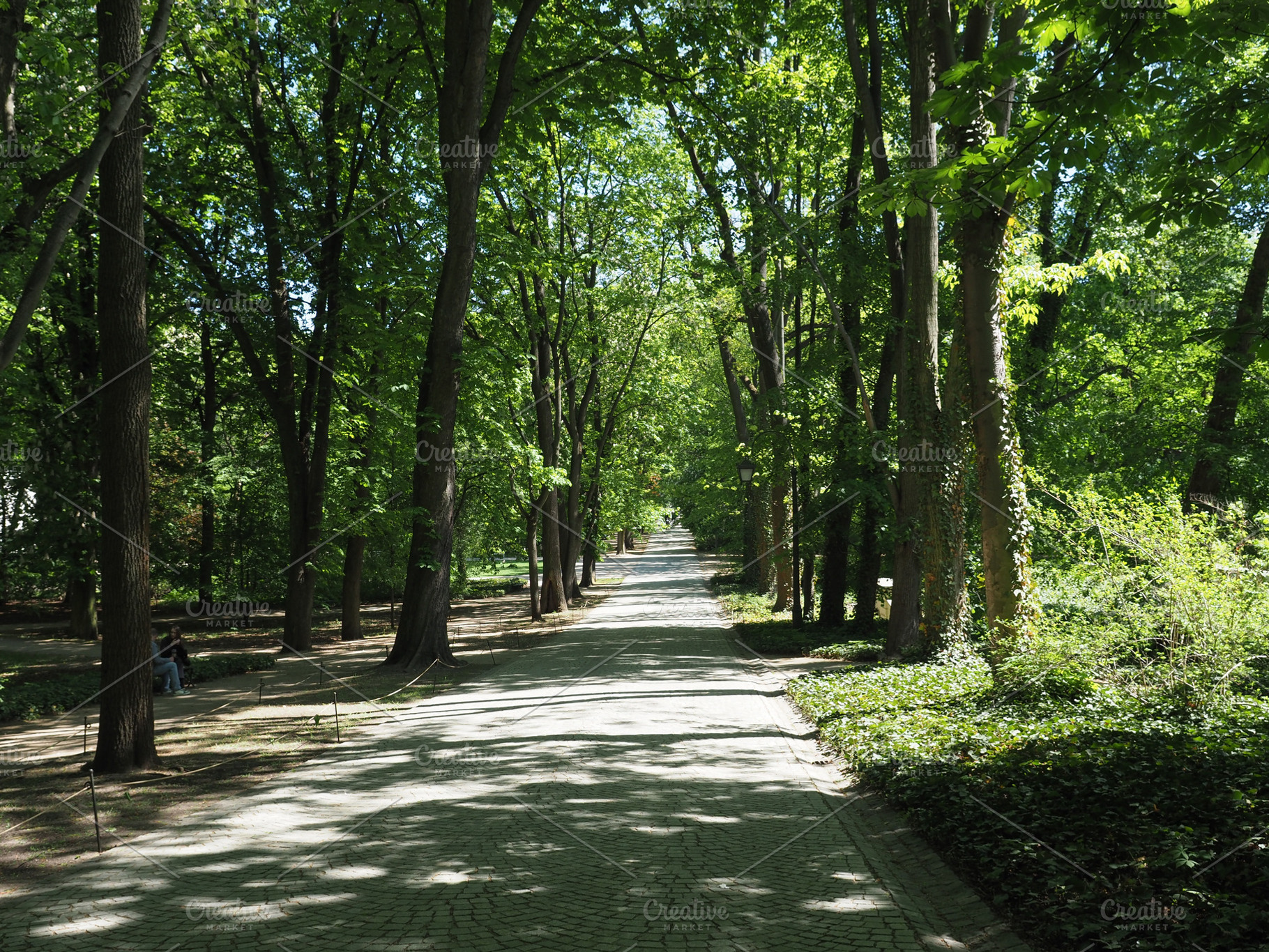 Lazienki Park in Warsaw, a Photo by WorldOfPhotos