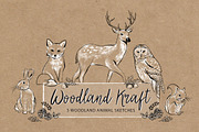 Woodland Kraft Design Set, an Animal Illustration by Doodle Dibs (Thumbnail 3 of 5)