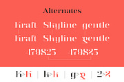 Kalender, a Serif Font by Gurup Stüdyo (Thumbnail 10 of 14)