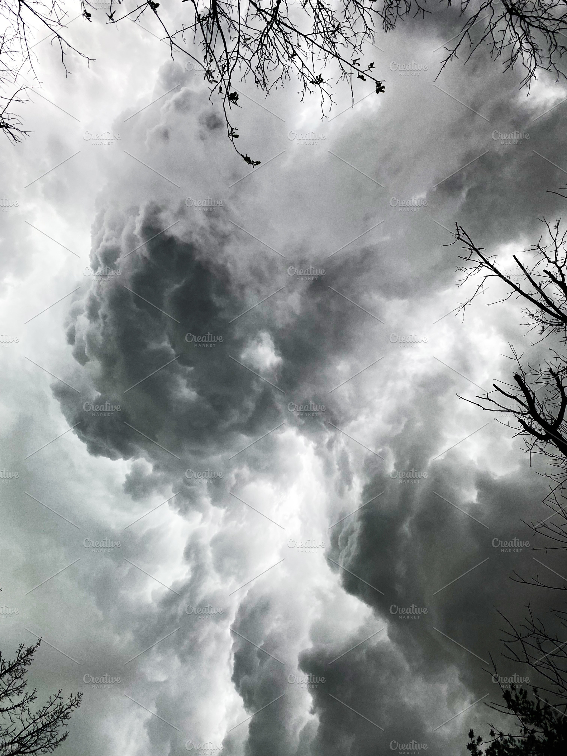 Dark storm clouds roll over bare trees in Indiana, creating a moody and dramati, a Photo by AS photostudio