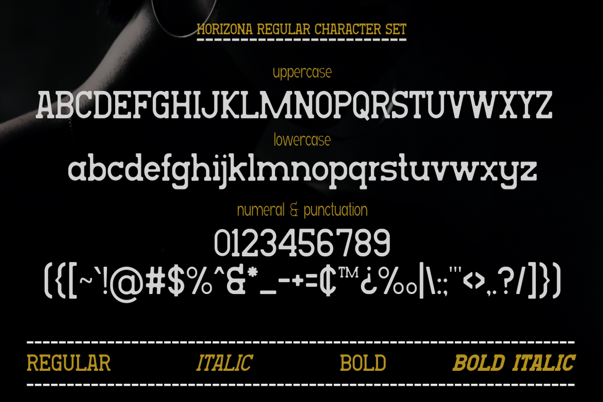 Horizona - Classic Serif Family, a Serif Font by MaikoHatta (Photo 2 of 6)