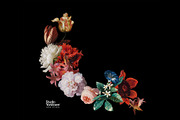 Kurohana Painted Florals Collection, an Illustration by Studio Yorktown (Thumbnail 12 of 13)