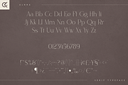 Alora - serif typeface | 4 fonts, a Serif Font by Only Fonts (Thumbnail 8 of 10)