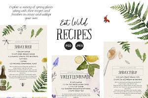 Eat Wild - Spring Foraging Project