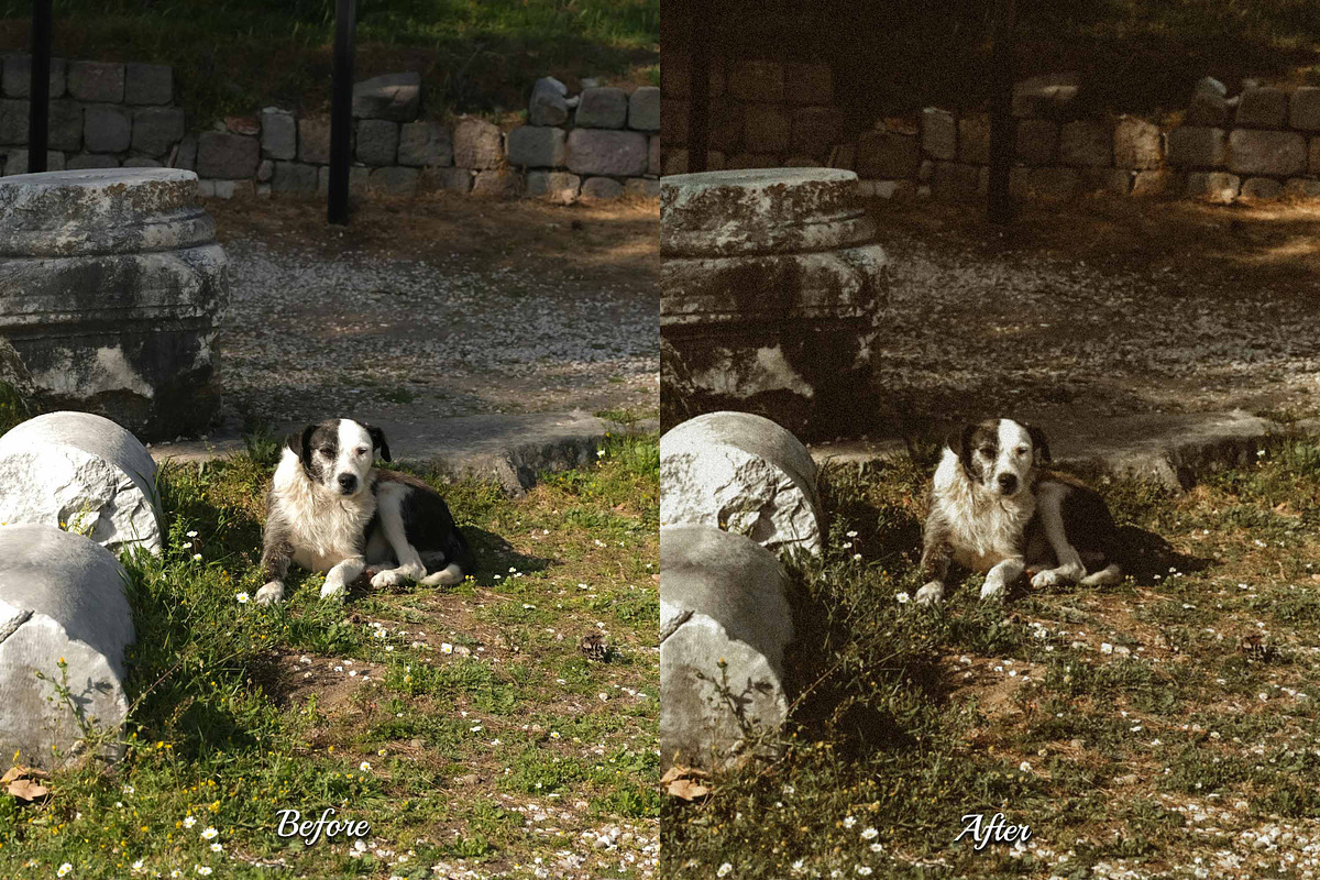 30 Old Days Lightroom Collection, a Preset Add-On by 3Motional (Photo 9 of 11)