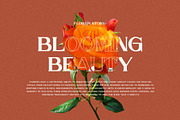 Gresha Elegant Serif Font Typeface, a Serif Font by Perfectype (Thumbnail 4 of 10)