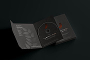 Disc & Sleeve Mockup, a Product Mockup by pmvch (Thumbnail 2 of 10)