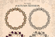 Autumn Moths & Dried Botanicals, an Animal Illustration by Ink Stories (Thumbnail 14 of 18)