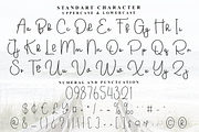 Engagement, a Handwritten Font by FreshTypeINK (Thumbnail 3 of 8)