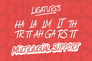 Miltine Almonz | Brush Font, a Script Font by Denustudios (Thumbnail 11 of 12)