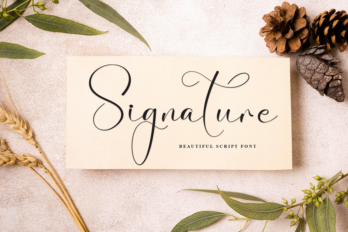 Sometime | Script Font, a Handwritten Font by Scratchones (Photo 4 of 8)