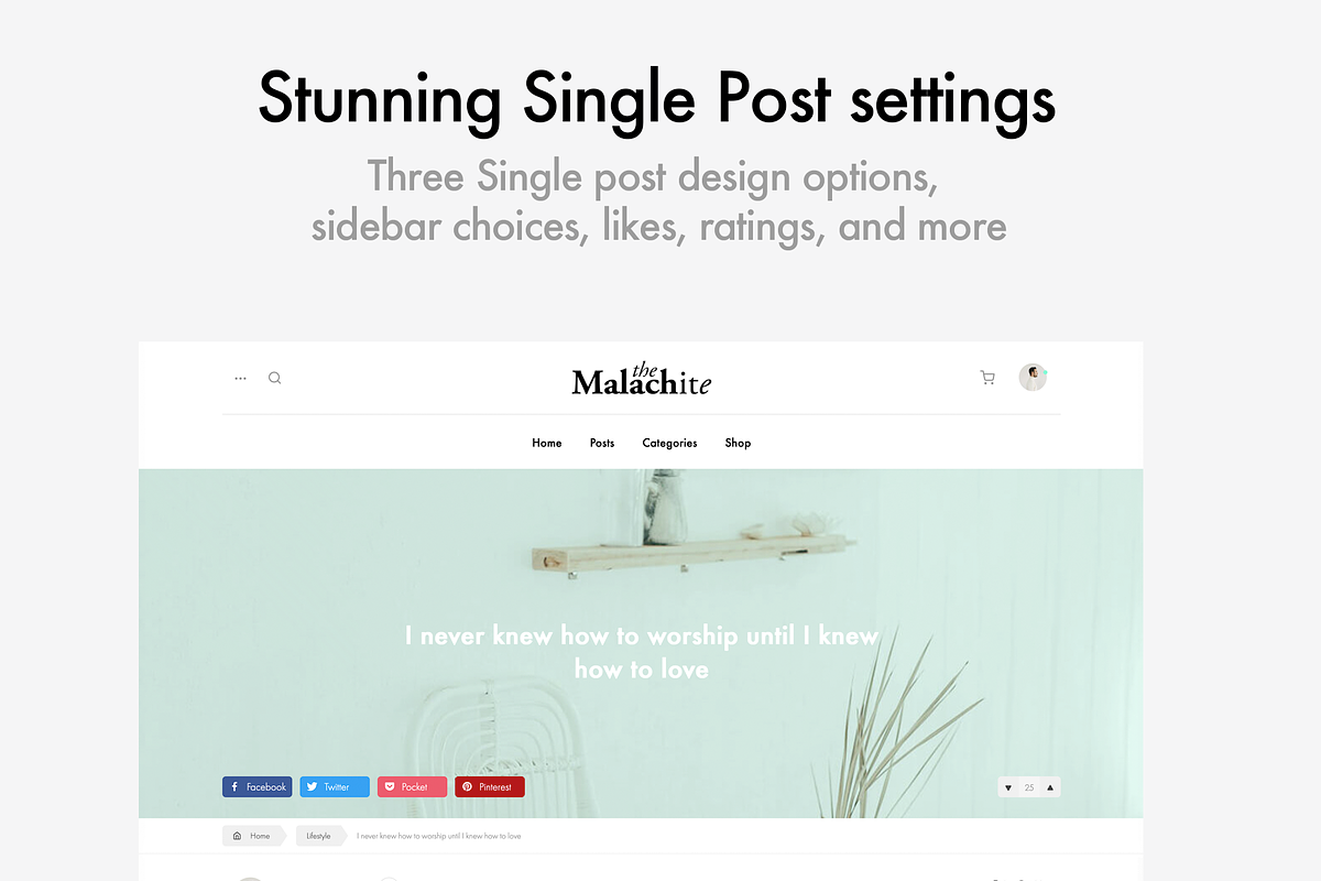 Malachite - WordPress Blog Theme WP, a WordPress Template by WordPressTheme (Photo 6 of 8)