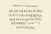 Fyora Elegant Sans Serif Font, a Font by Vadovastd (Thumbnail 2 of 8)