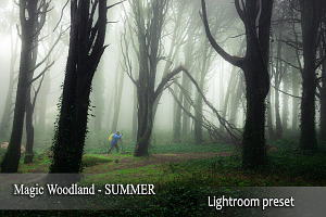 Magic woodland-SUMMER for Lightroom