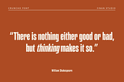 Cruncho - A Bold Condensed Sans, a Sans Serif Font by Ainun Jinan (Thumbnail 7 of 12)