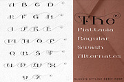 Piattacia font family, a Serif Font by greatypes studio (Thumbnail 8 of 15)