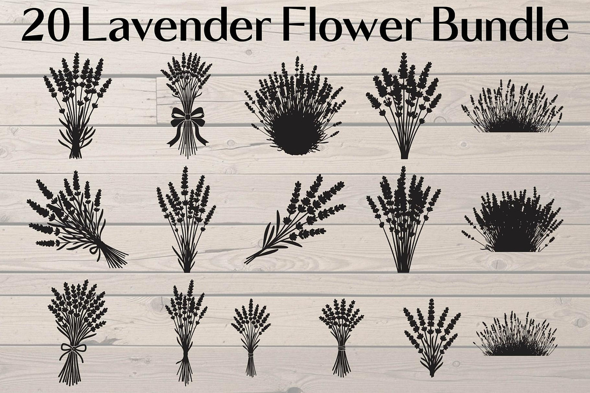 Lavender Flower Silhouette, an Object Graphic by Designer_Momina (Photo 1 of 20)