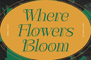 Varelle – Art Nouveau Font, a Serif Font by Craft Supply Co. (Thumbnail 2 of 8)