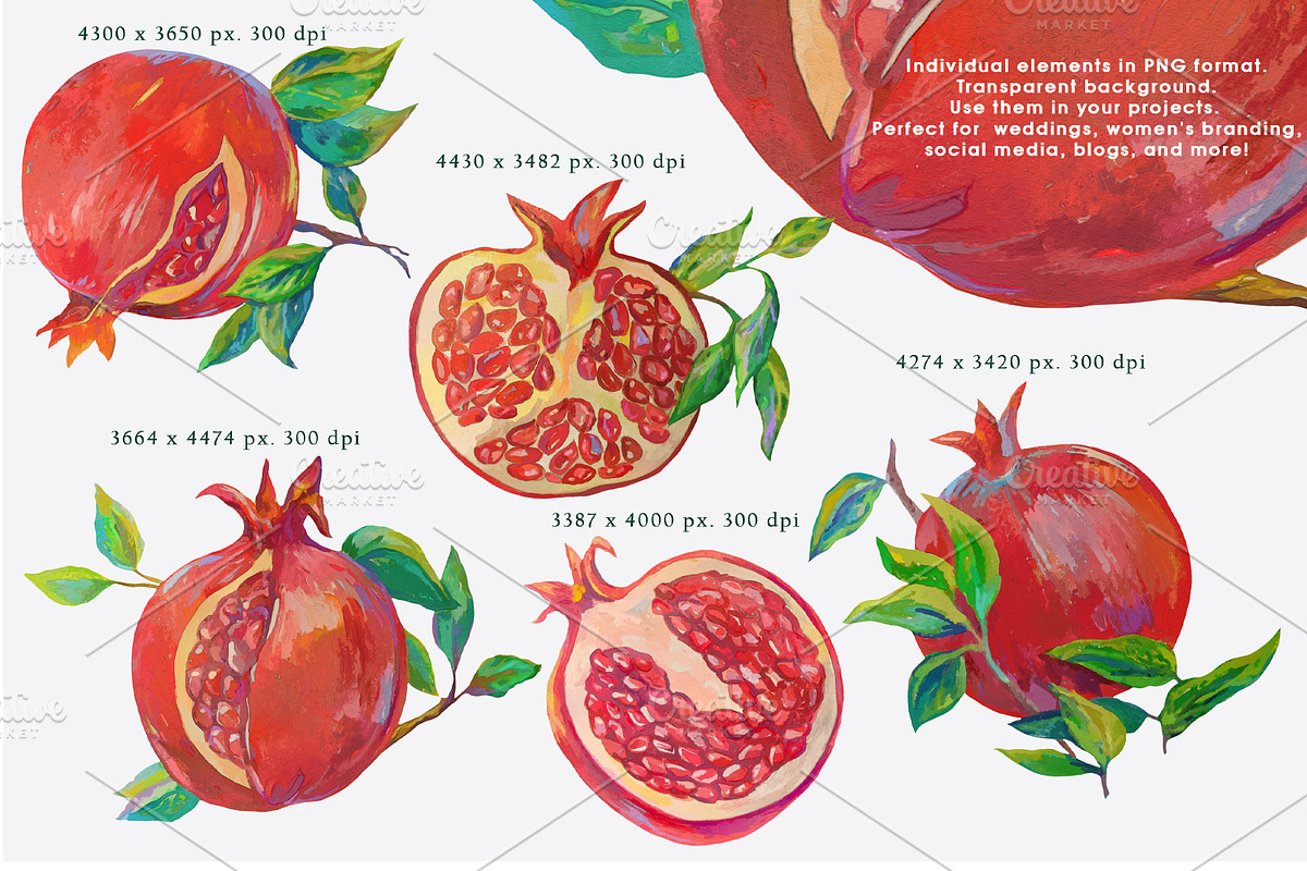 Lemons, Pomegranates elements, frame, an Object Graphic by Alena Lazareva (Photo 4 of 10)