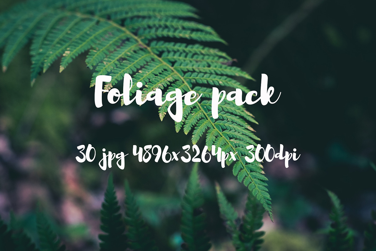 Foliage pack, a Templates & Theme by ApertureVintage (Photo 18 of 21)