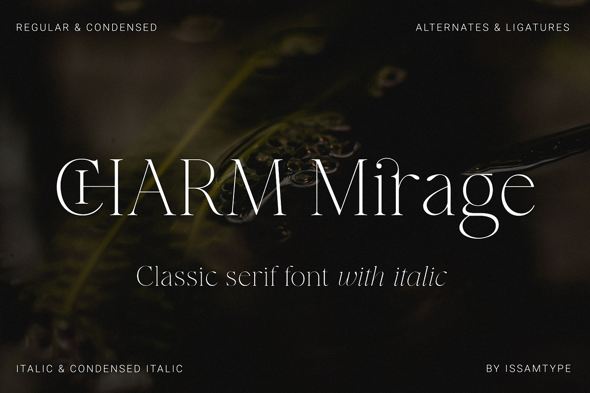 CHARM Mirage – Classic Serif Font, a Serif Font by Issam Type (Photo 14 of 14)