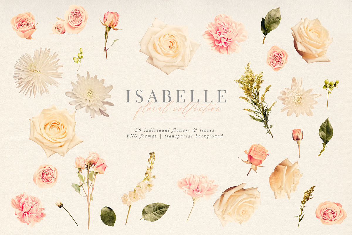 Isabelle Clip Art Floral Collection, an Object Graphic by Eclectic Anthology (Photo 6 of 10)