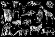 Wild Animals, an Animal Illustration by Ecaterina Sciuchina (Thumbnail 2 of 4)
