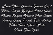 Holster - Vintage Script Font, a Script Font by Arendxstudio (Thumbnail 3 of 10)