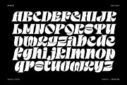 MIT Neurise, a Serif Font by Maculinc Type (Thumbnail 10 of 12)