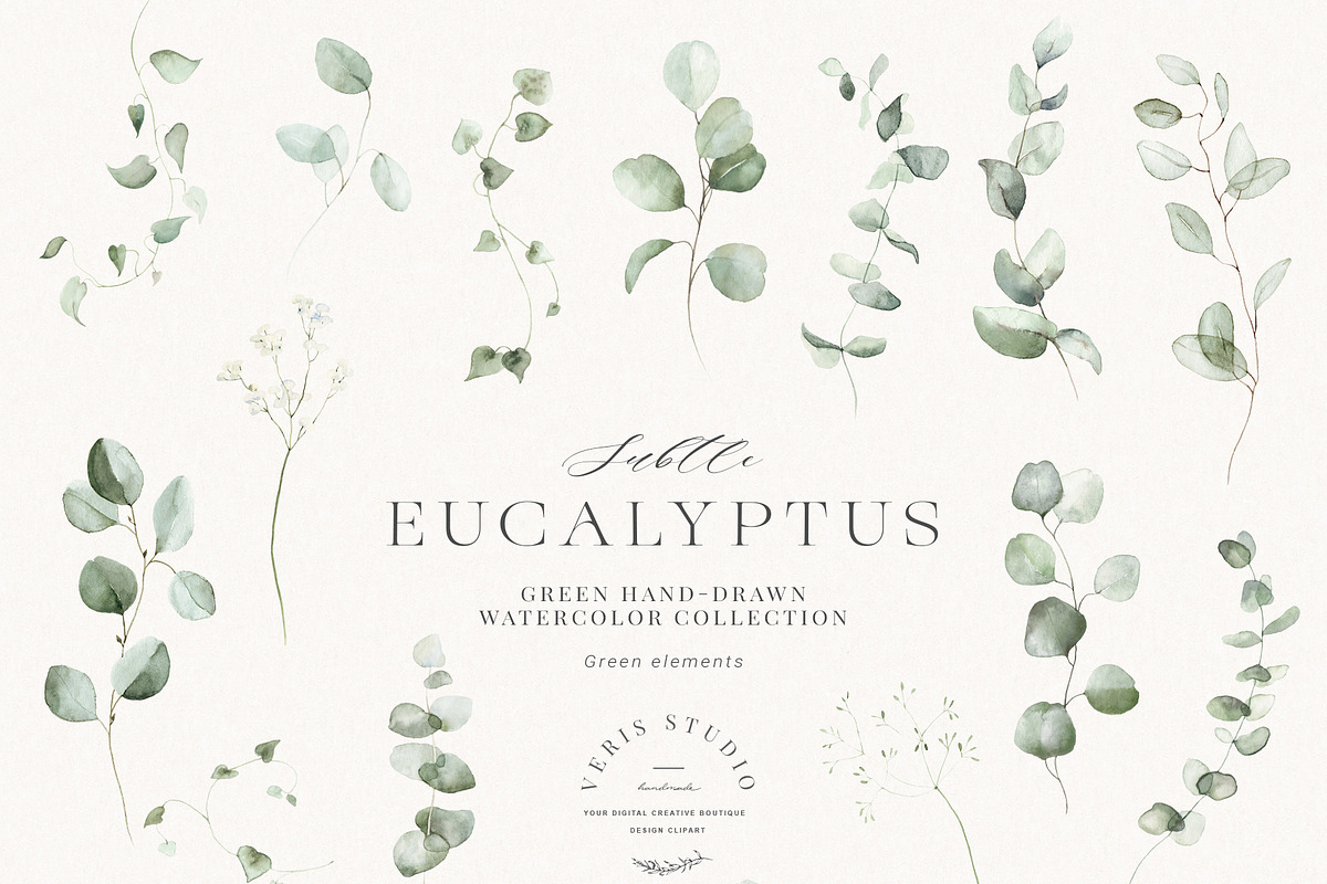 Watercolor Eucalyptus Green Floral, a Decorative Illustration by Veris Studio (Photo 20 of 20)