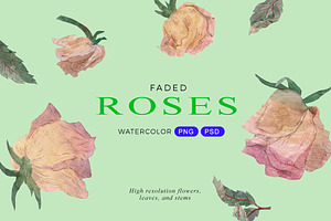 Faded Roses Watercolor