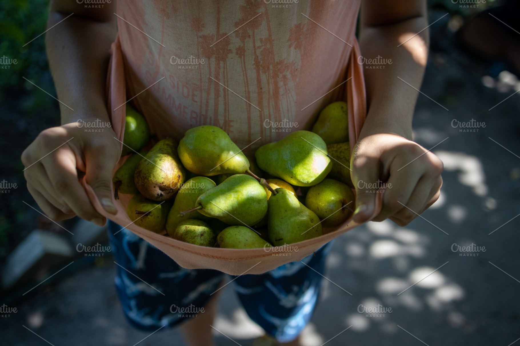 boy holding a lot of pears, a Food & Drink Photo by TanaCh